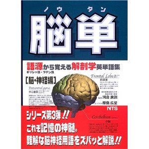 肉単 (ニクタン) 〜語源から覚える解剖学英単語集〔筋肉編